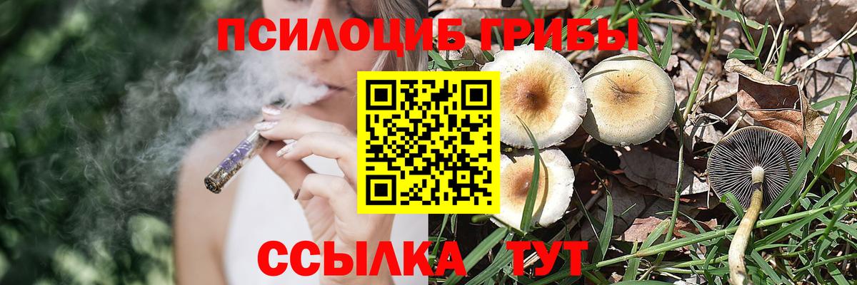 Псилоцибиновые грибы мухоморы  что такое наркотик  Волжский  Вход с VPN 